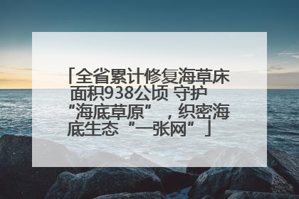 全省累计修复海草床面积938公顷 守护“海底草原”，织密海底生态“一张网”